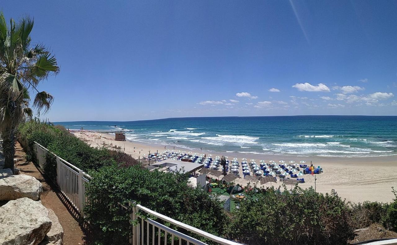 612 Apartment On The Beach 바트얌 외부 사진