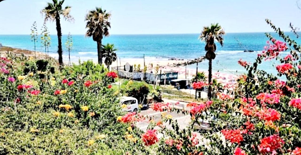 612 Apartment On The Beach 바트얌 외부 사진