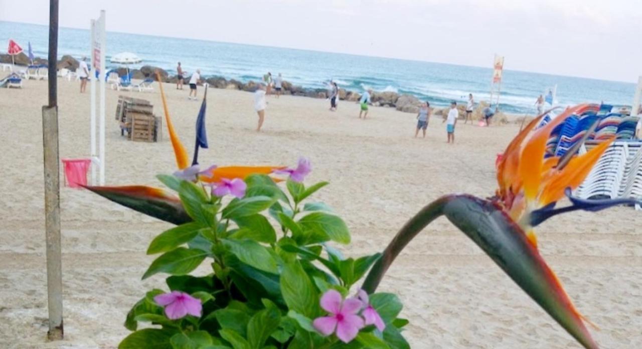 612 Apartment On The Beach 바트얌 외부 사진
